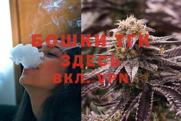 спиды Аркадак