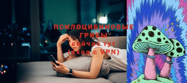ешки Арсеньев