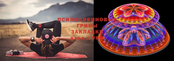 спиды Аркадак